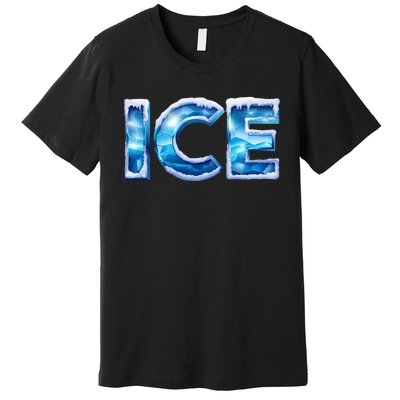 Funny Ice And Fire Costume Halloween Family Matching Premium T-Shirt