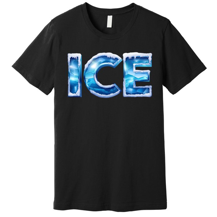 Funny Ice And Fire Costume Halloween Family Matching Premium T-Shirt