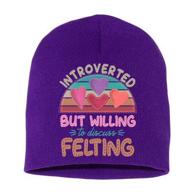 Funny Introverted But Willing To Discuss Felting Short Acrylic Beanie