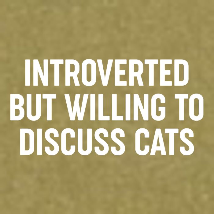 Funny Introverted But Willing To Discuss Cats Garment-Dyed Women's Muscle Tee