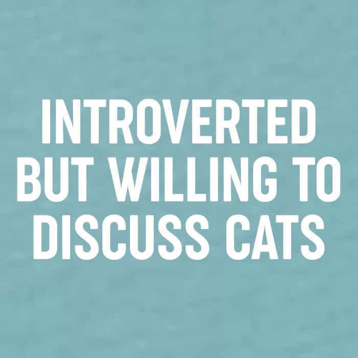Funny Introverted But Willing To Discuss Cats Sueded Cloud Jersey T-Shirt