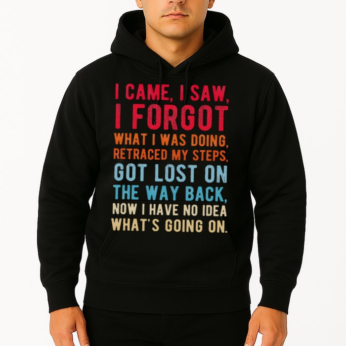 Funny I Came I Saw I Forgot What I Was Doing Got Lost Hoodie
