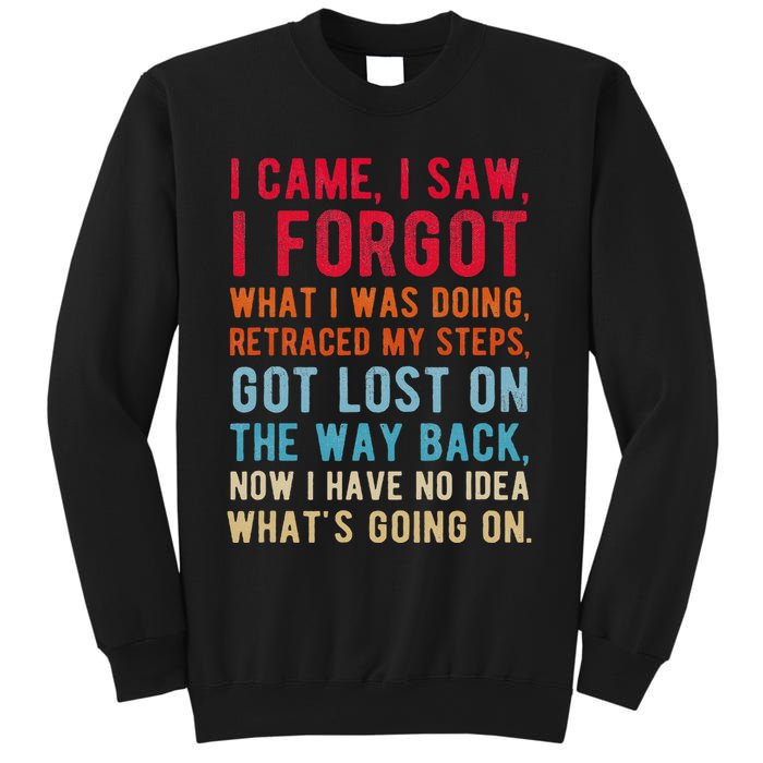 Funny I Came I Saw I Forgot What I Was Doing Got Lost Sweatshirt