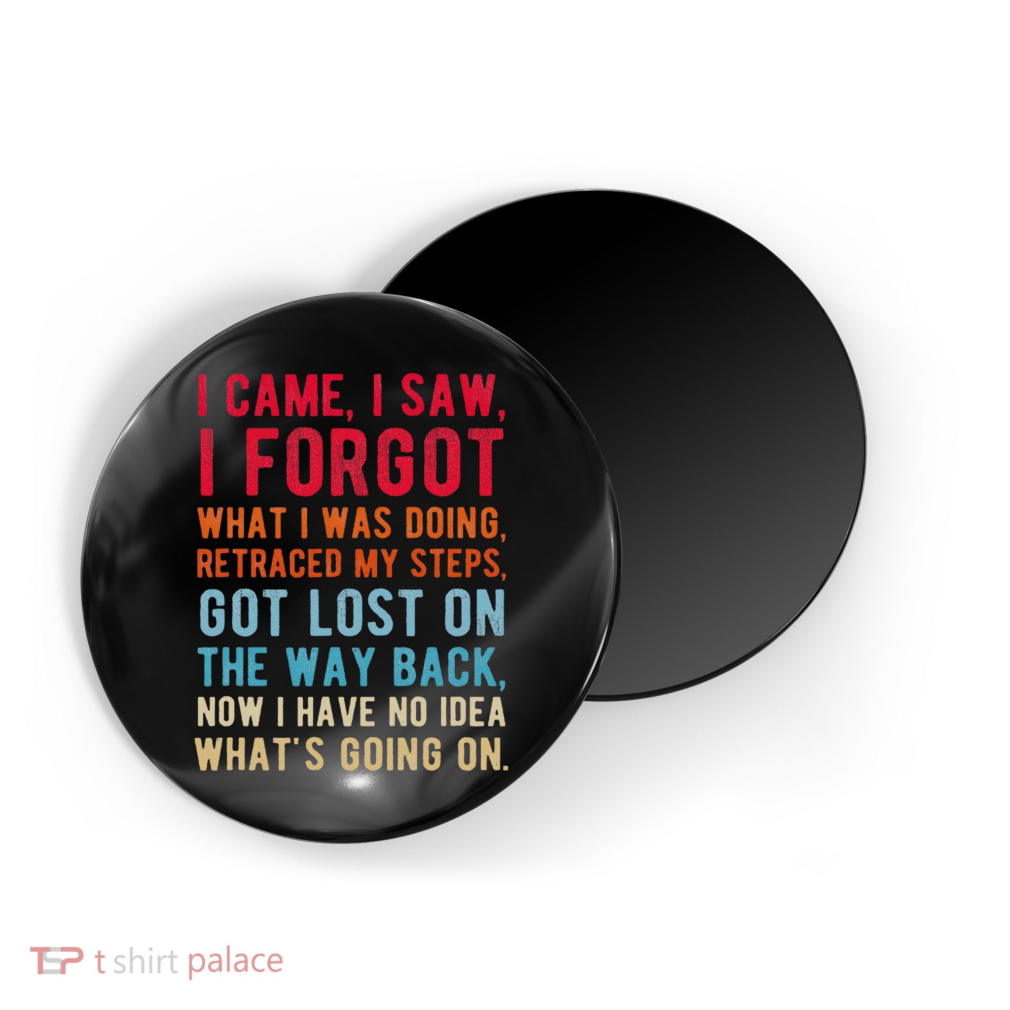 Funny I Came I Saw I Forgot What I Was Doing Got Lost Magnet