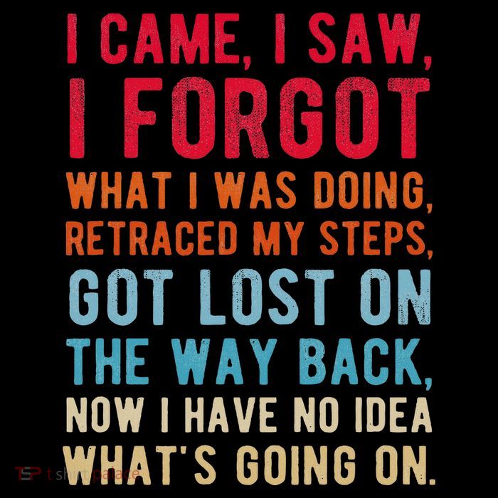 Funny I Came I Saw I Forgot What I Was Doing Got Lost Poster