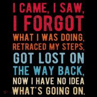 Funny I Came I Saw I Forgot What I Was Doing Got Lost Premium T-Shirt