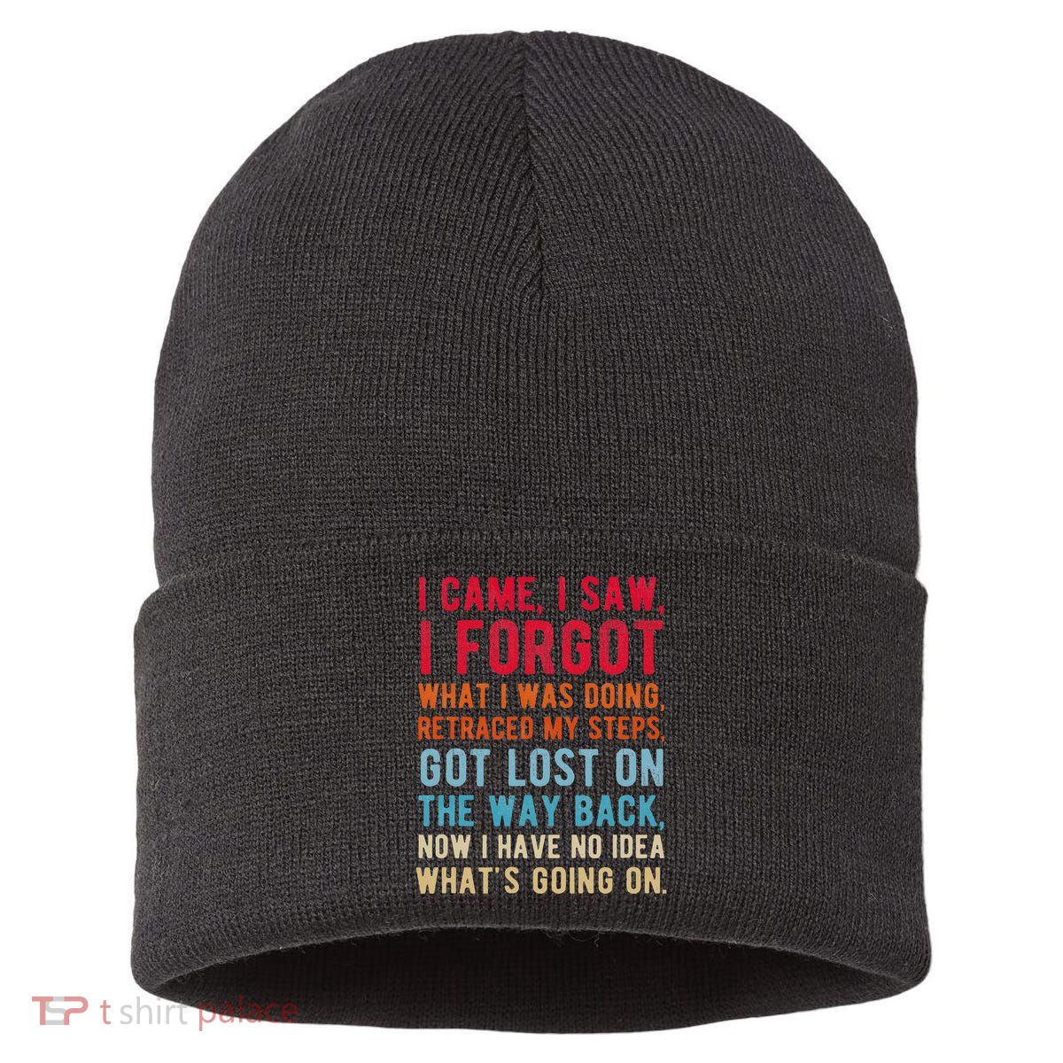 Funny I Came I Saw I Forgot What I Was Doing Got Lost Sustainable Knit Beanie