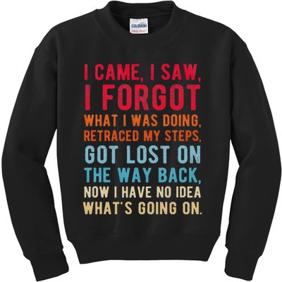 Funny I Came I Saw I Forgot What I Was Doing Got Lost Kids Sweatshirt