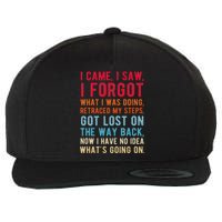 Funny I Came I Saw I Forgot What I Was Doing Got Lost Wool Snapback Cap