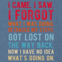 Funny I Came I Saw I Forgot What I Was Doing Got Lost Garment-Dyed Sweatshirt