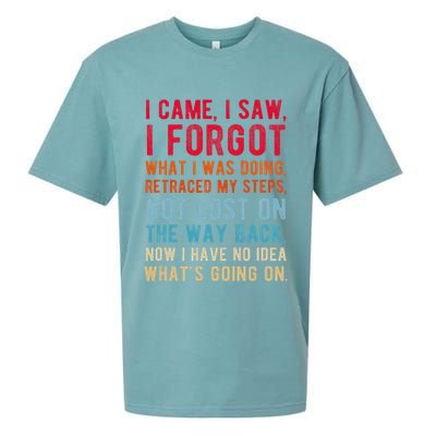 Funny I Came I Saw I Forgot What I Was Doing Got Lost Sueded Cloud Jersey T-Shirt