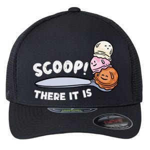 Funny Ice Cream Summer Foodie Ice Cream Lover Ice Cream Flexfit Unipanel Trucker Cap