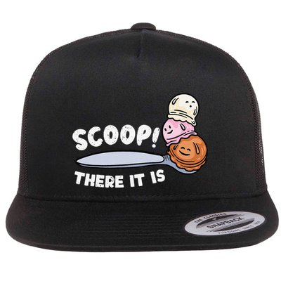 Funny Ice Cream Summer Foodie Ice Cream Lover Ice Cream Flat Bill Trucker Hat