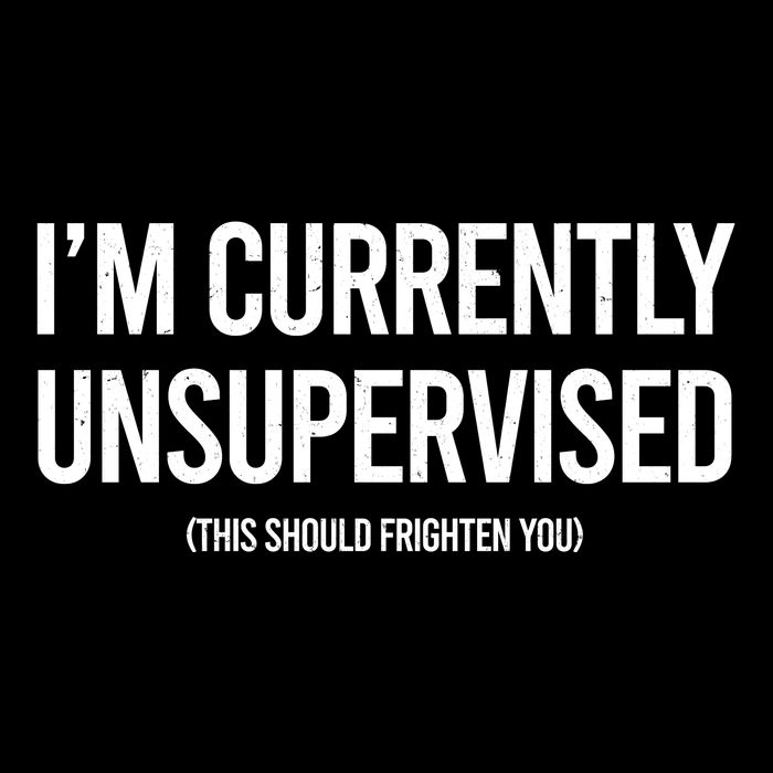 Funny Im Currently Unsupervised This Should Frighten You 7-Panel Snapback Hat