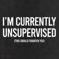 Funny Im Currently Unsupervised This Should Frighten You 11oz C Handle Ceramic Mug