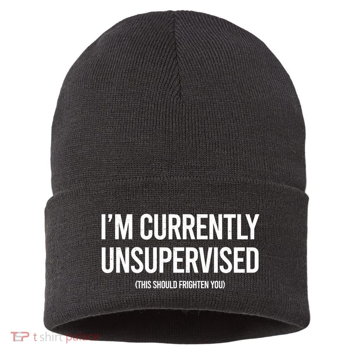 Funny Im Currently Unsupervised This Should Frighten You Sustainable Knit Beanie