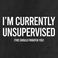 Funny Im Currently Unsupervised This Should Frighten You Microfiber Hand Towel