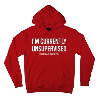 Funny Im Currently Unsupervised This Should Frighten You Hoodie