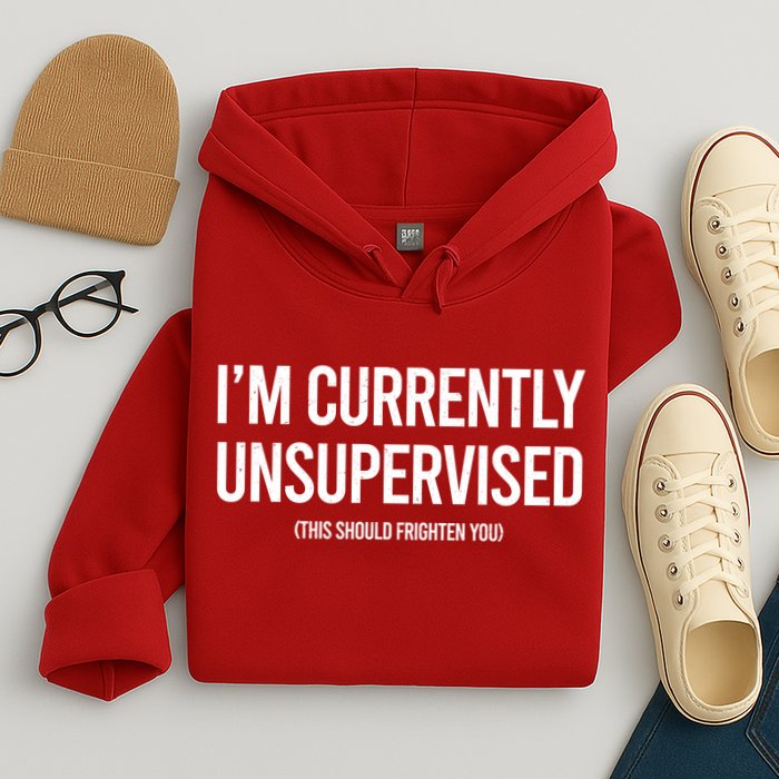 Funny Im Currently Unsupervised This Should Frighten You Hoodie