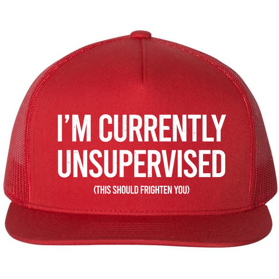 Funny Im Currently Unsupervised This Should Frighten You Flatbill Hat