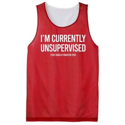 Funny Im Currently Unsupervised This Should Frighten You Mesh Reversible Basketball Jersey Tank