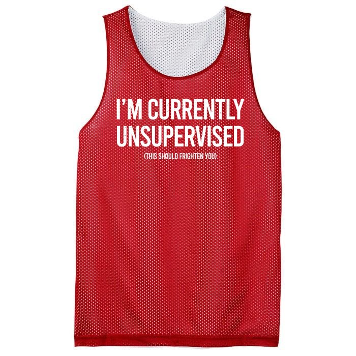 Funny Im Currently Unsupervised This Should Frighten You Mesh Reversible Basketball Jersey Tank