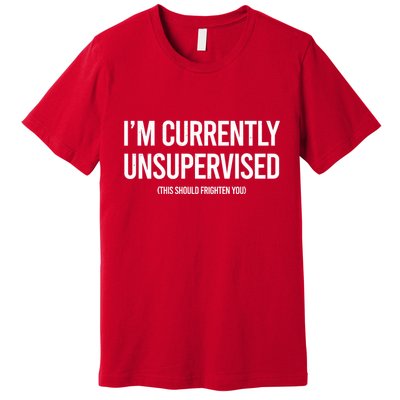 Funny Im Currently Unsupervised This Should Frighten You Premium T-Shirt