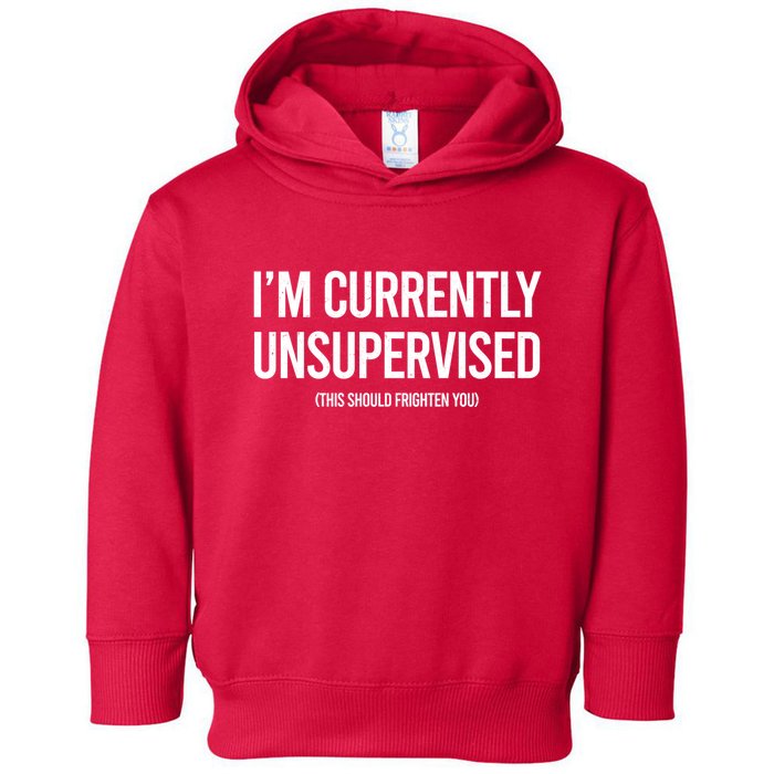 Funny Im Currently Unsupervised This Should Frighten You Toddler Hoodie