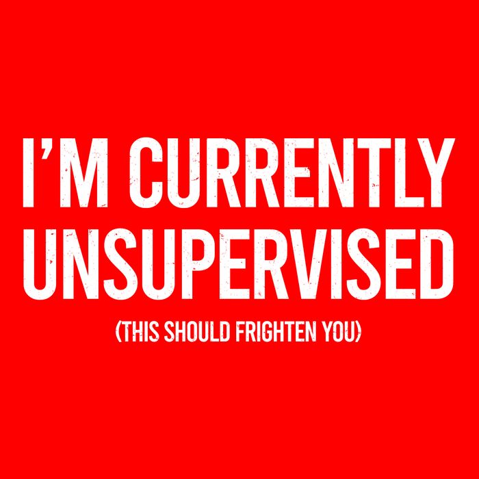 Funny Im Currently Unsupervised This Should Frighten You Womens T-Shirt