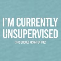 Funny Im Currently Unsupervised This Should Frighten You Sueded Cloud Jersey T-Shirt