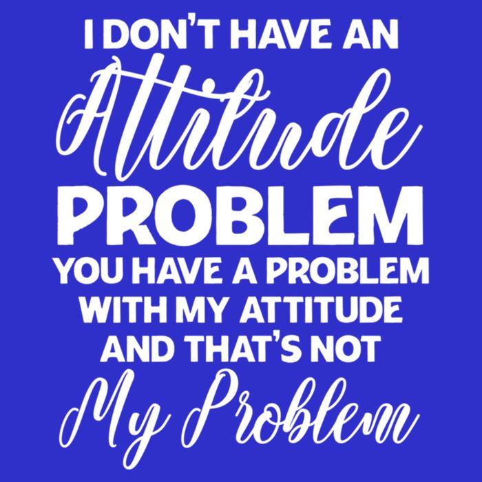 Funny I DonT Have An Attitude Problem Sarcastic Humor Funny Gift T-Shirt