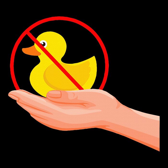 Funny I Dont Give A Duck No Ducks Given Sarcastic Wool Snapback Cap