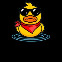 Funny I Dont Give A Duck Mug