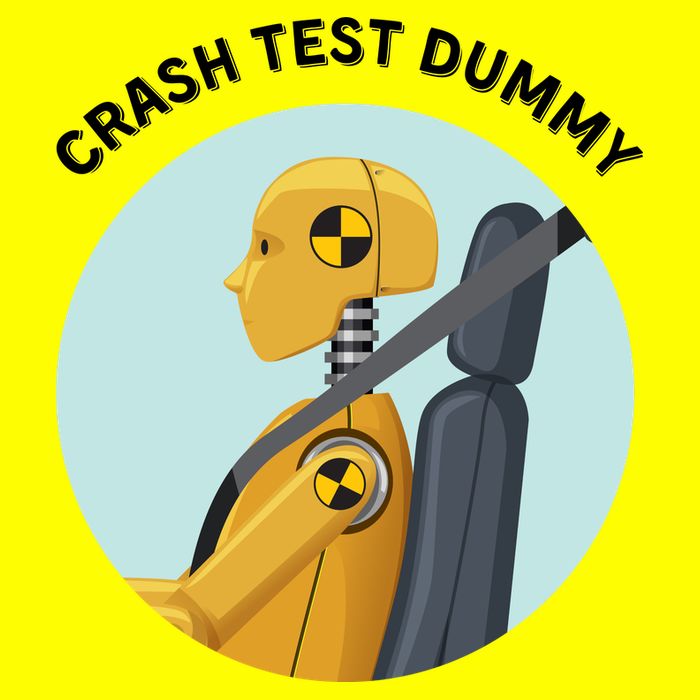 Funny I Do My Own Stunt Break Fix Repeat Crash Test Dummy Magnet