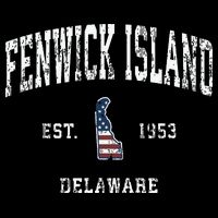 Fenwick Island Delaware De Vintage American Flag Womens T-Shirt