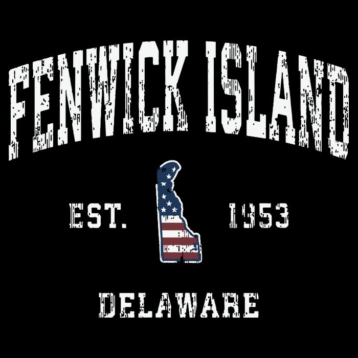 Fenwick Island Delaware De Vintage American Flag Womens T-Shirt