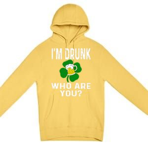 Funny I'm Drunk Who Are You Beer St Patricks Day Gift Gift Premium Pullover Hoodie