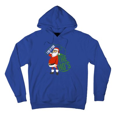 Funny I Do It For The Hos Ugly Christmas Gift Hoodie