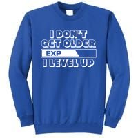 Funny I Dont Get Older I Level Up Gift Tall Sweatshirt