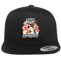 Funny I Eat Cement Cat Meme Flat Bill Trucker Hat
