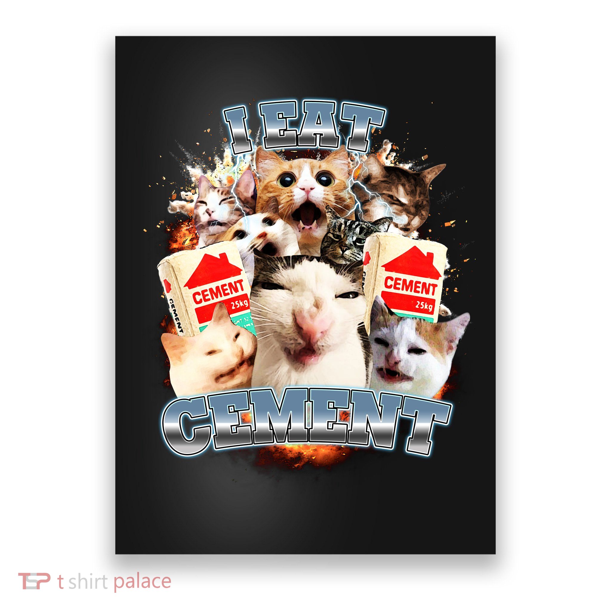 Funny I Eat Cement Cat Meme Poster