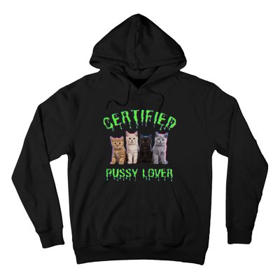 Funny Inappropriate Embarrassing Adult Humor Cat Lover Hoodie