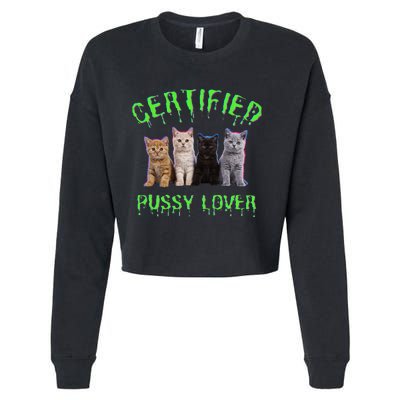 Funny Inappropriate Embarrassing Adult Humor Cat Lover Cropped Pullover Crew