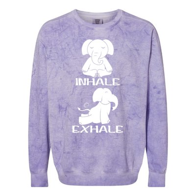 Funny Inhale Exhale Yoga Elephant Lover Save Elephant Gift Colorblast Crewneck Sweatshirt