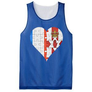 French Irish Flag Heart Gift Mesh Reversible Basketball Jersey Tank