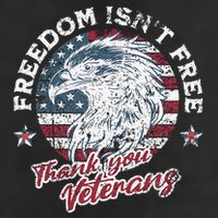 Freedom IsnT Free Thank You Veterans Memorial Day Patriotic Beanie