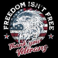 Freedom IsnT Free Thank You Veterans Memorial Day Patriotic Tie-Dye T-Shirt