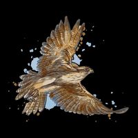 Falcon In Flight From A Splash Button