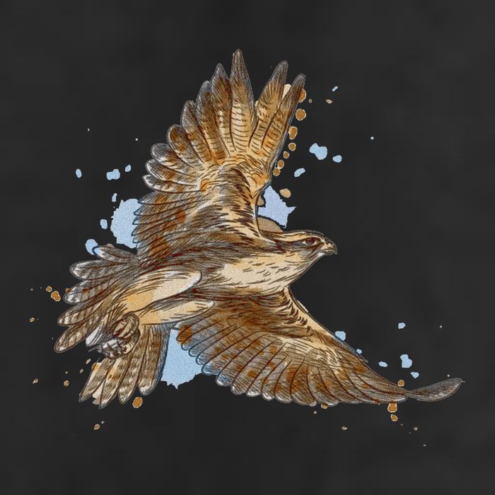Falcon In Flight From A Splash 11oz C Handle Ceramic Mug