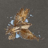Falcon In Flight From A Splash Cotton Canvas Backpack